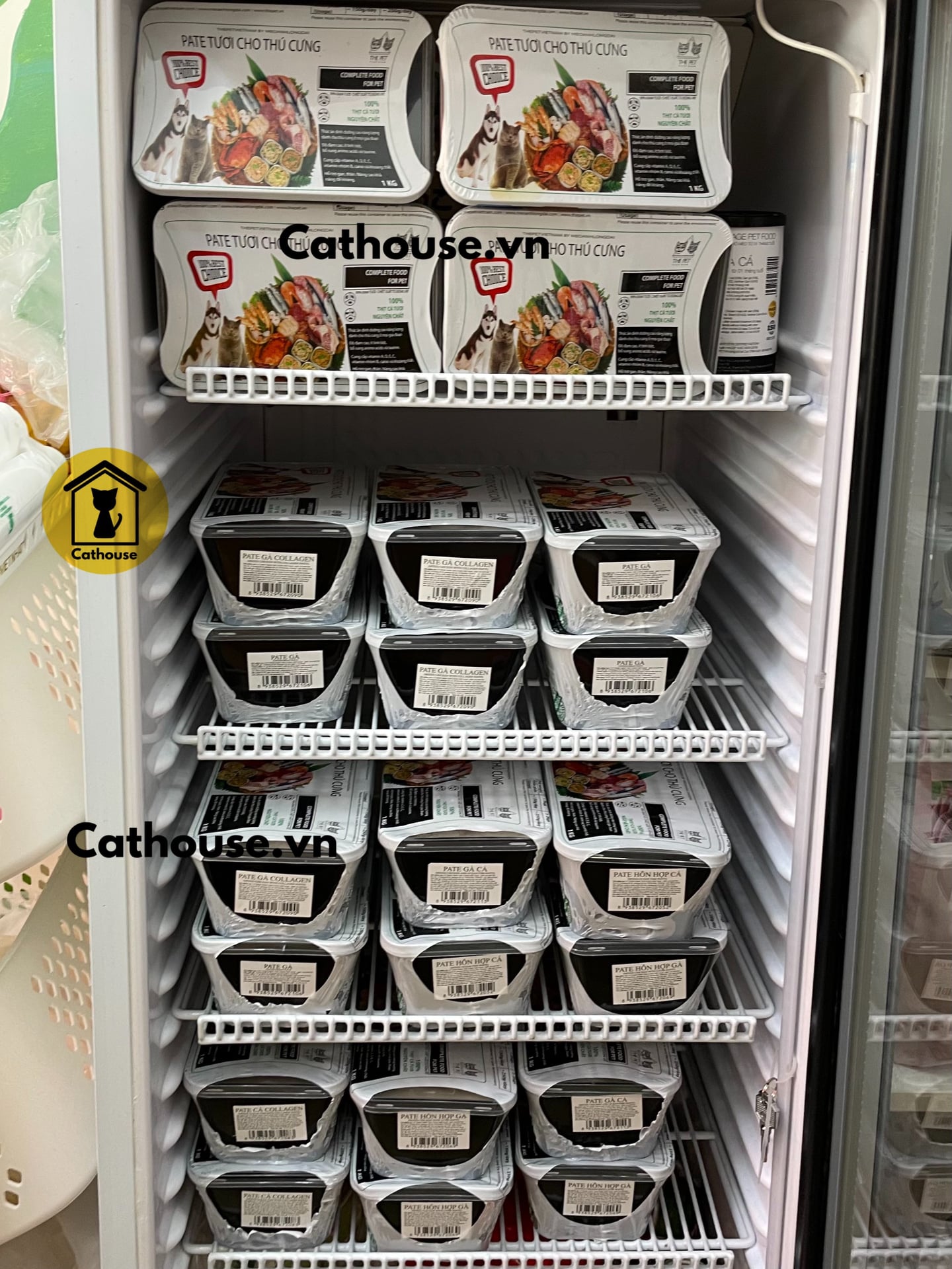 276197417 1491641084564856 3495149115315891379 n