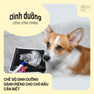 277441677 1496920197370278 3694482362471727000 n