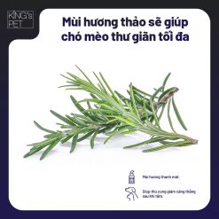 Nước hoa thư giãn kháng khuẩn mùi Hương Thảo King’s Pet dành cho chó & mèo 100ml 4 2603 4