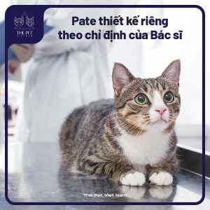 277562908 1500864806975817 6926401045681915443 n