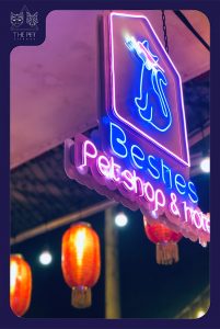 277563939 1498102737252024 709915017224120149 n