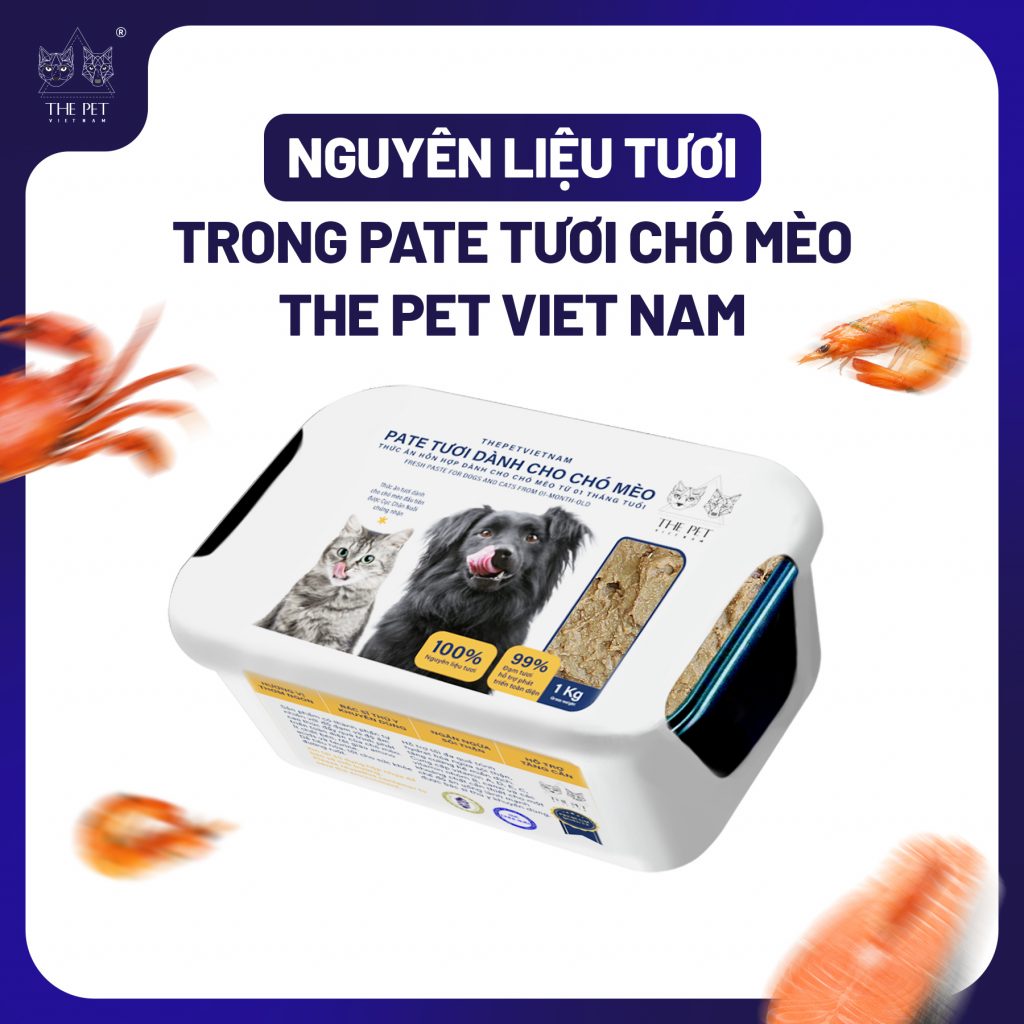 Raw ingredients in fresh paste for dogs and cats by Thepet.vn
