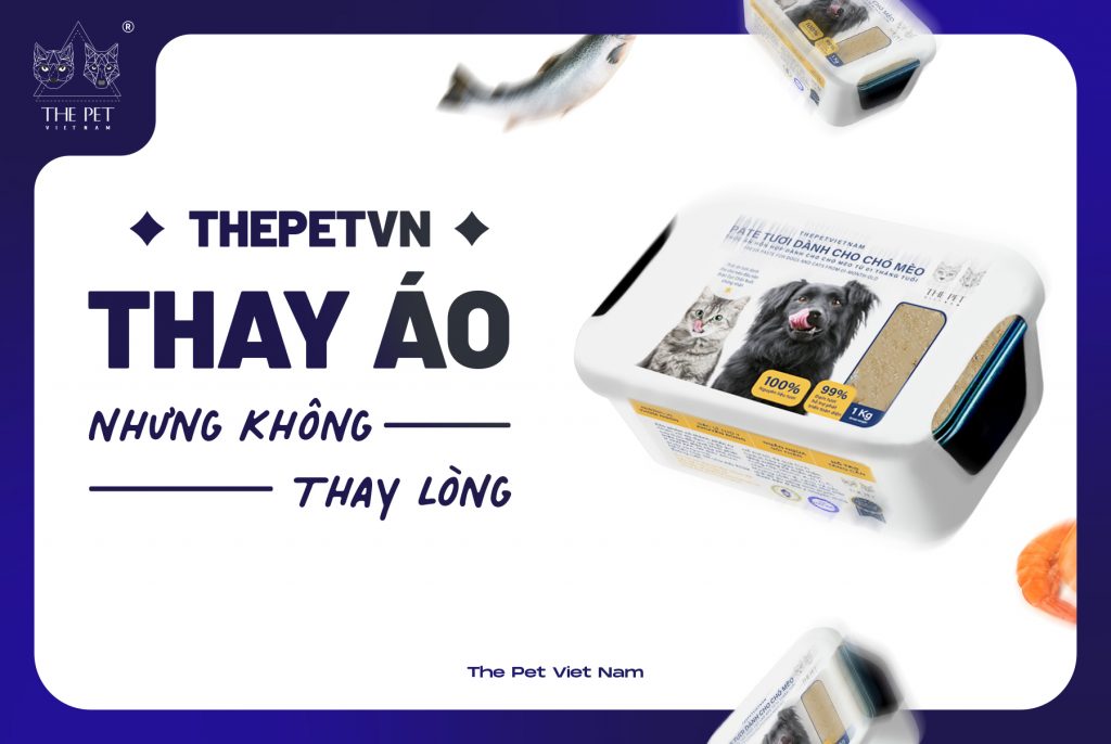 Thử ngay cách làm pate cho chó Poodle chỉ trong 15 phút