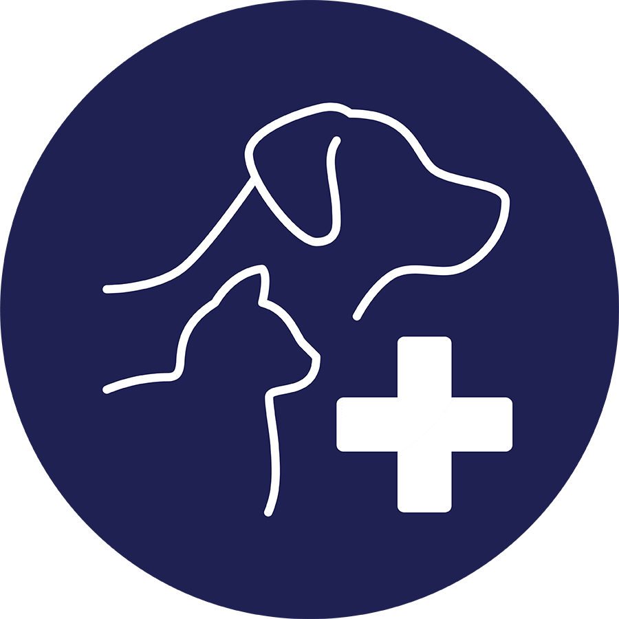 CHÓ MÈO BỆNH