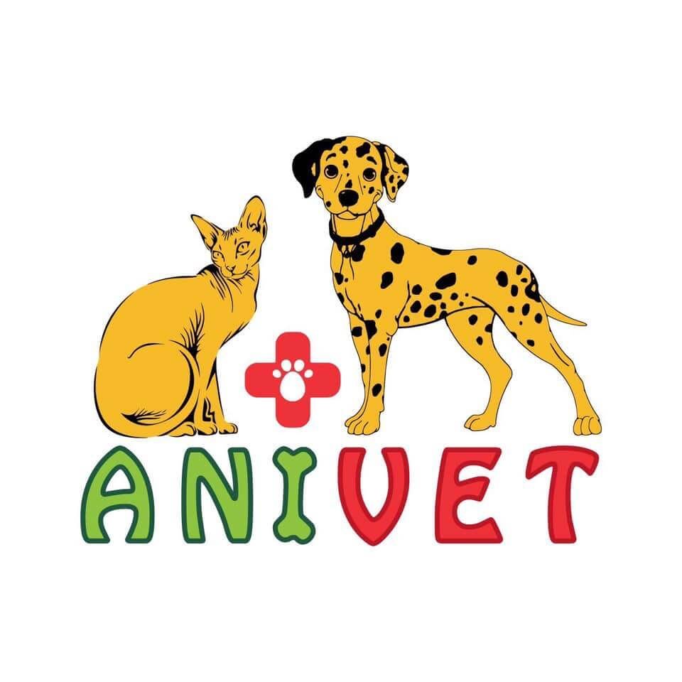 Trang Chủ 796 transparent Anivet