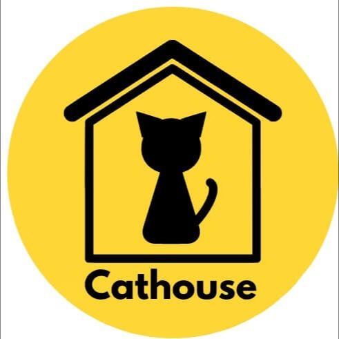 Trang Chủ 790 transparent CatHouse