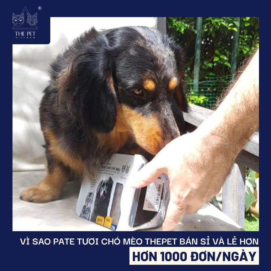 Vì sao pate tươi chó mèo THEPET bán sỉ và lẻ hơn 1000 đơn/ngày? 2 Vì sao pate tươi chó mèo THEPET bán sỉ và lẻ hơn 1000 đơn/ngày?