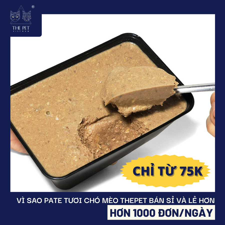 Vì sao pate tươi chó mèo THEPET bán sỉ và lẻ hơn 1000 đơn/ngày? 3 Vì sao pate tươi chó mèo THEPET bán sỉ và lẻ hơn 1000 đơn/ngày?