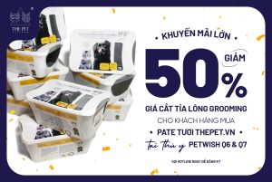 292536013 1569575213438109 5145337161199413359 n