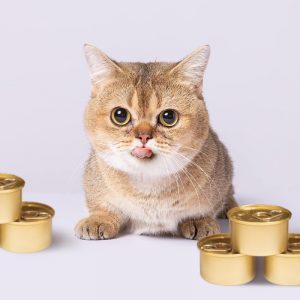 photo 8 1658313345444145476102