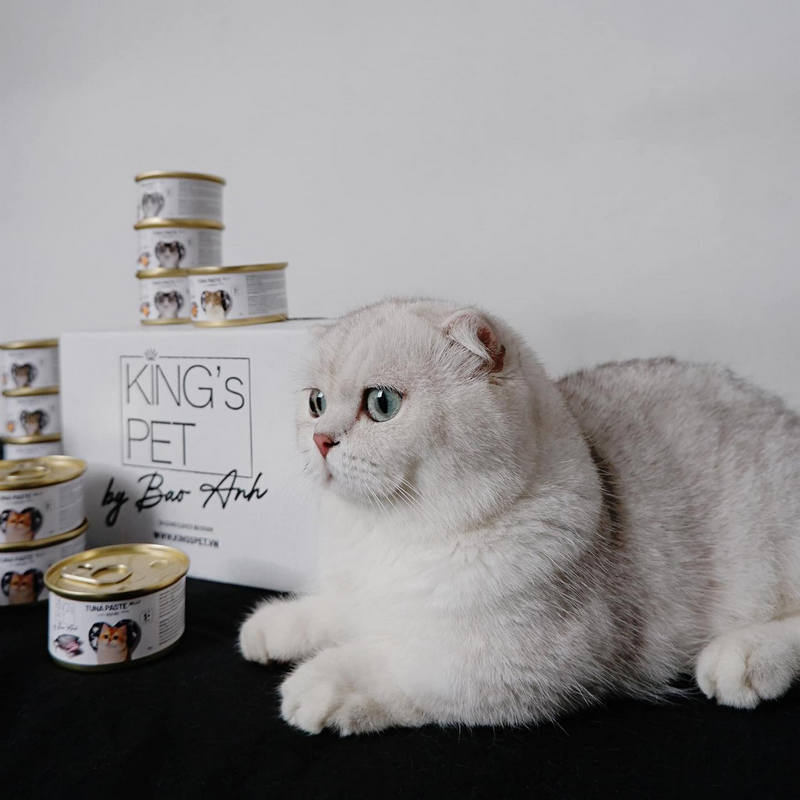 Pate King's pet by Bảo Anh có ngon không? Review chi tiết 12 Pate Bảo Anh có ngon không