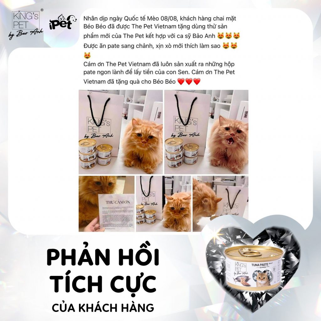 303510672 1619853595076937 3451011935922872544 n