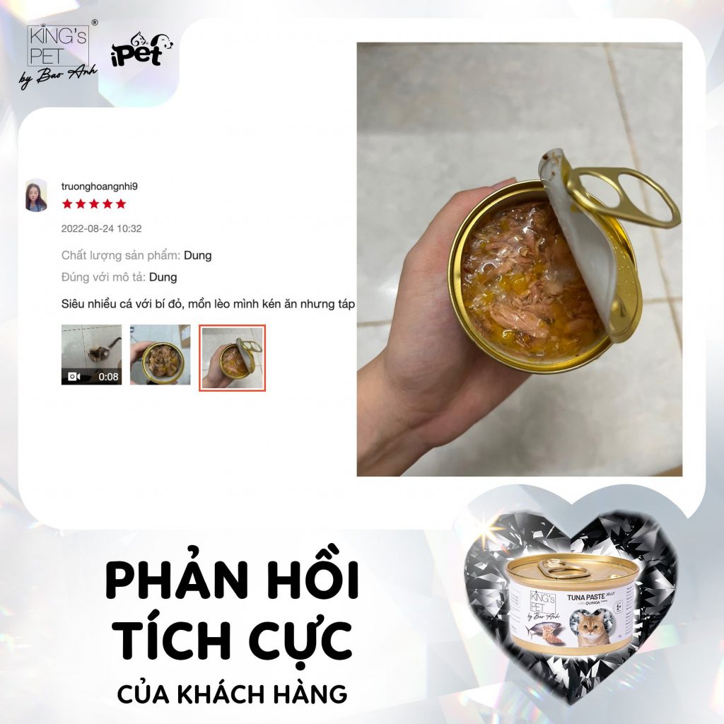 305105386 1619853821743581 7662516016940370606 n