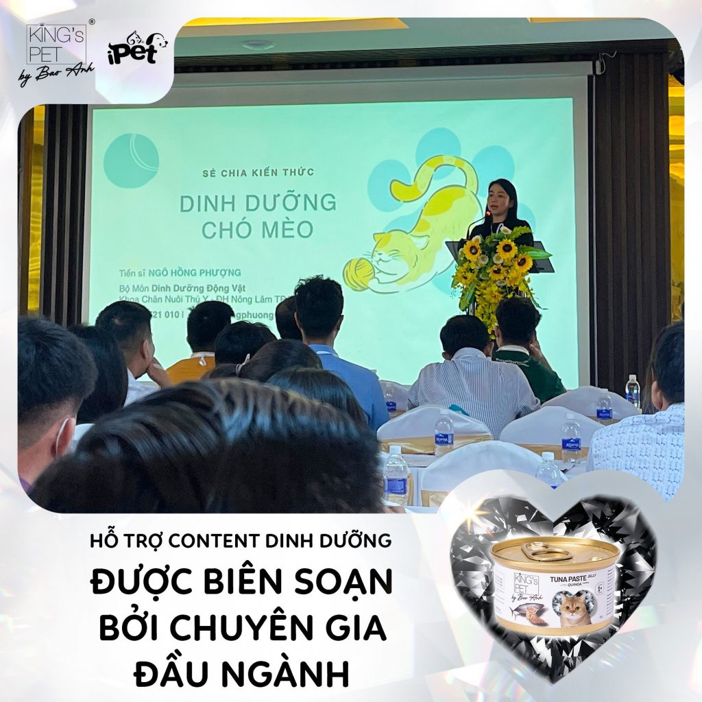 305636924 1619854155076881 842376814391929712 n