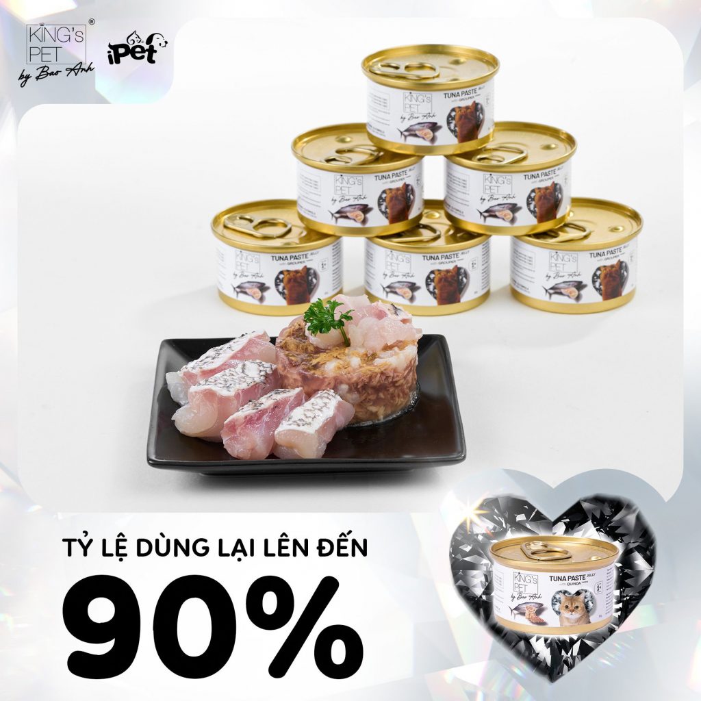 305652821 1619854248410205 4853756112932462484 n