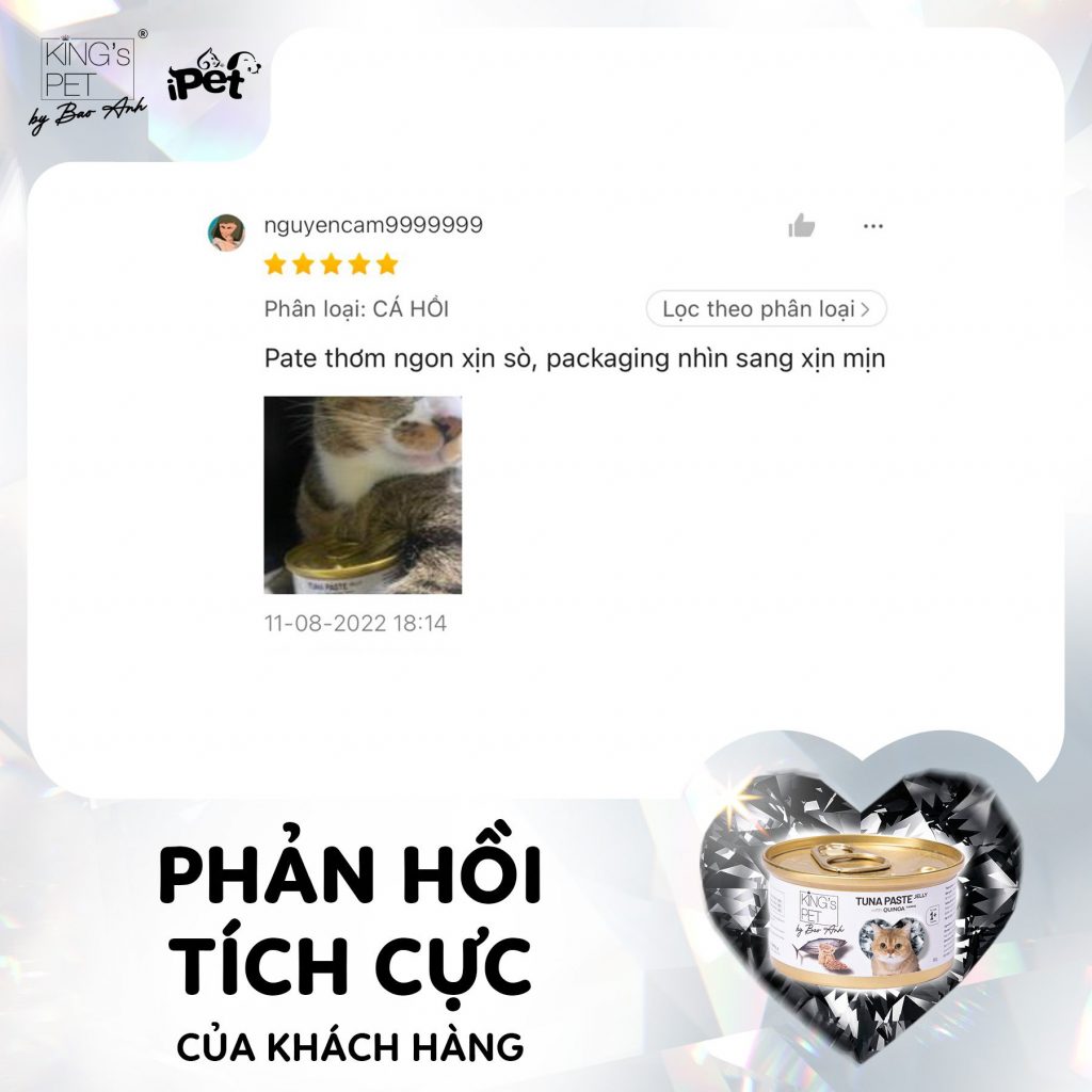 305761450 1619853678410262 7294655677359414492 n