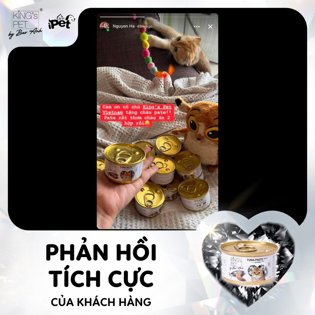 305810046 1619853745076922 623088066075984406 n