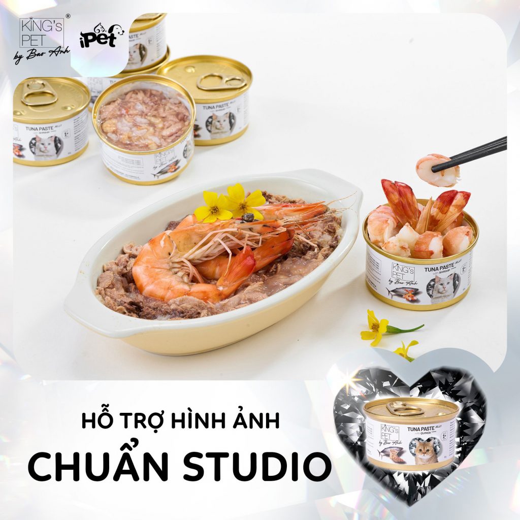 305845481 1619854135076883 7414802396390306086 n