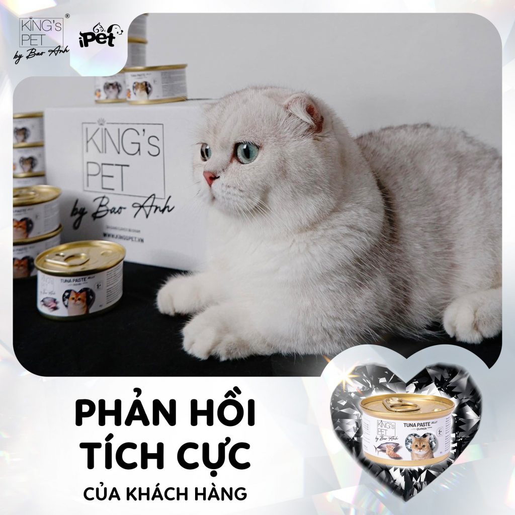 305927332 1619853901743573 5319014712210978994 n