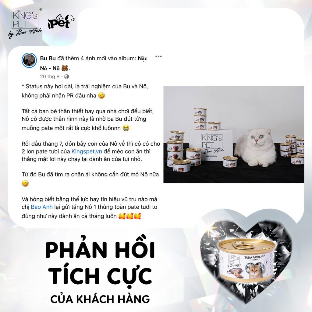 306087194 1619853568410273 3870122422772583109 n