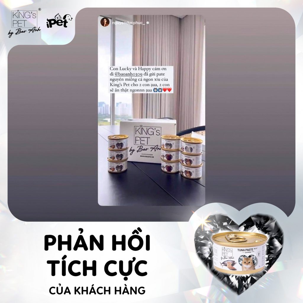 306140732 1619853861743577 6669837127766838972 n