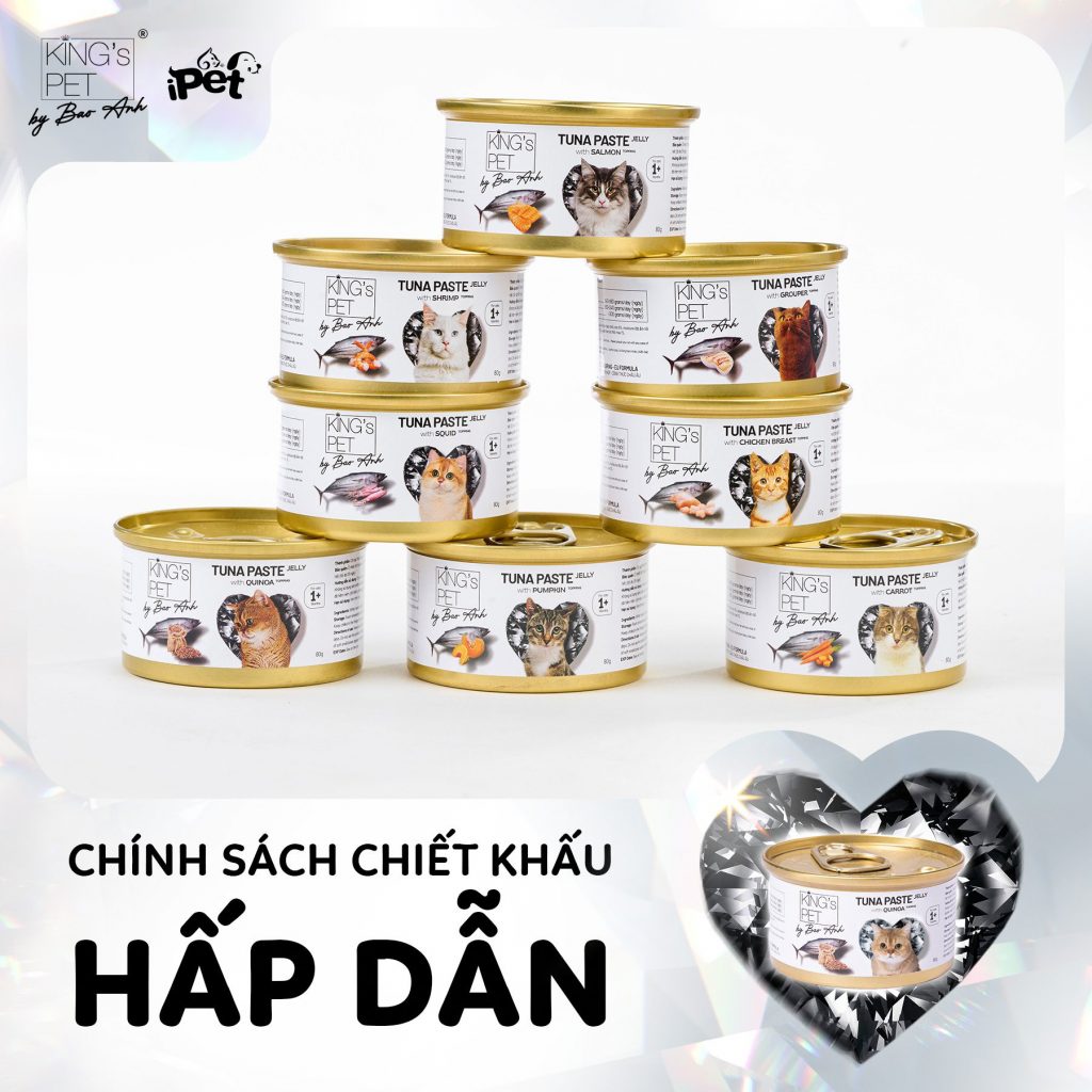 306275221 1619854275076869 1376066341640839538 n