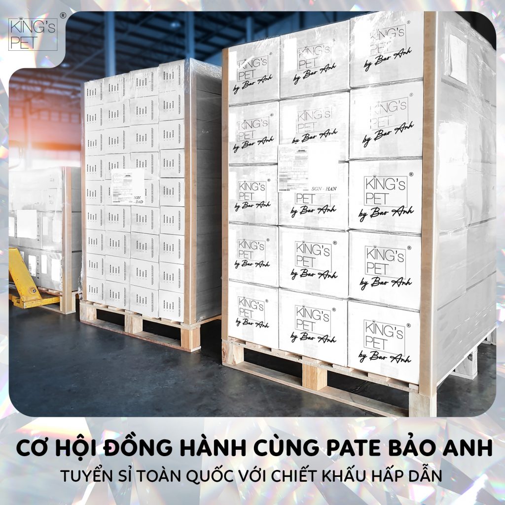 307130034 1619853635076933 7921549000736937295 n