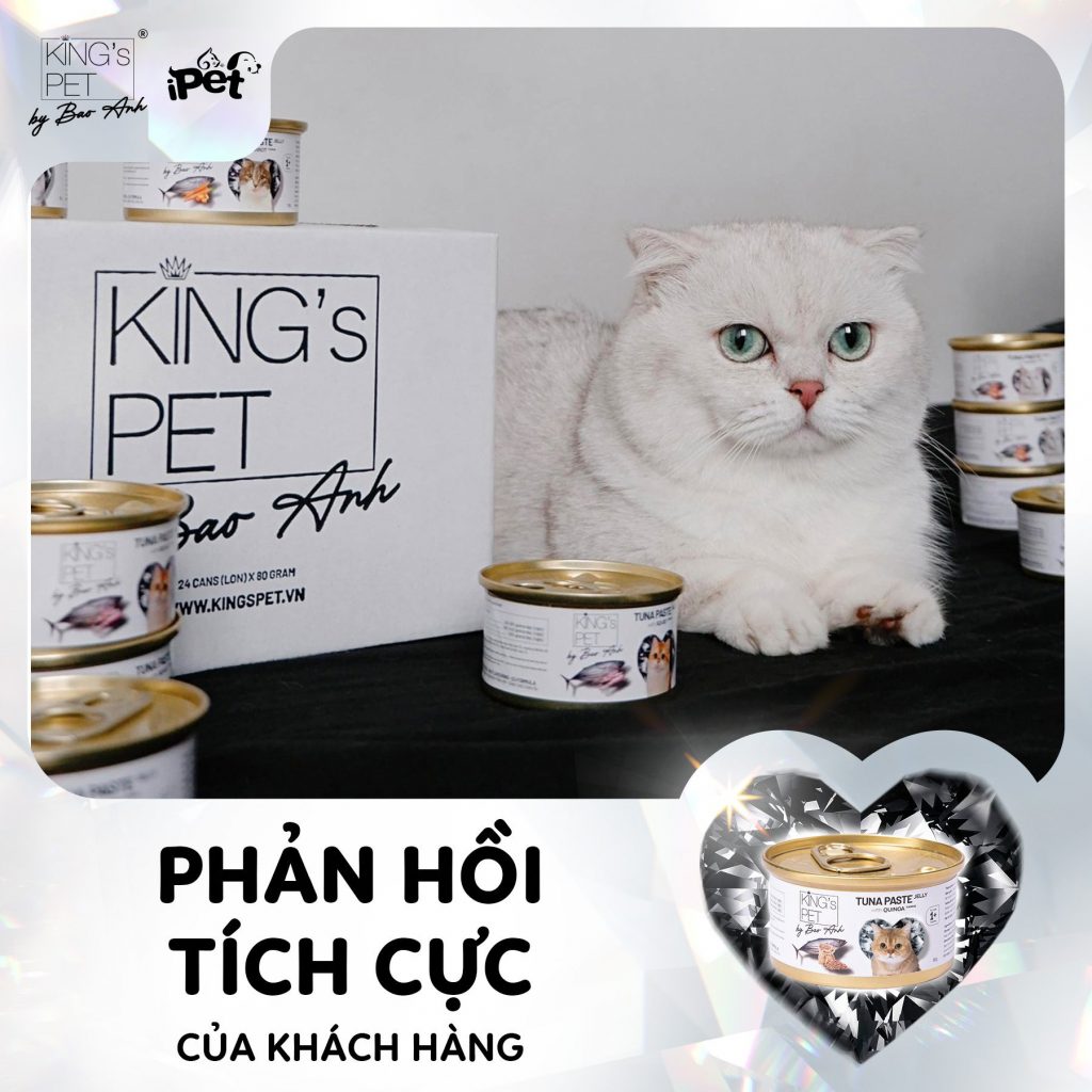 307319491 1619853925076904 4543943841861204907 n