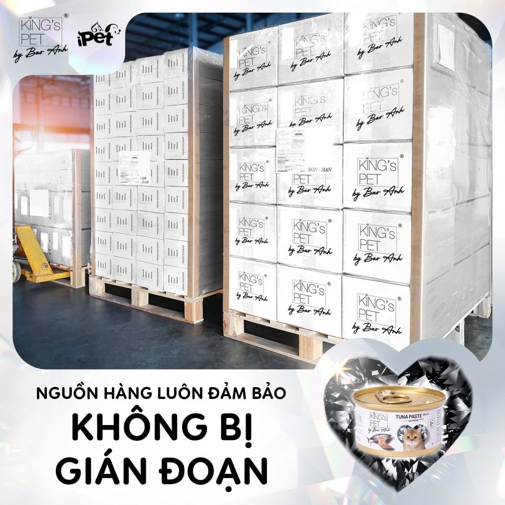 307436059 1619854038410226 8414853693411985749 n