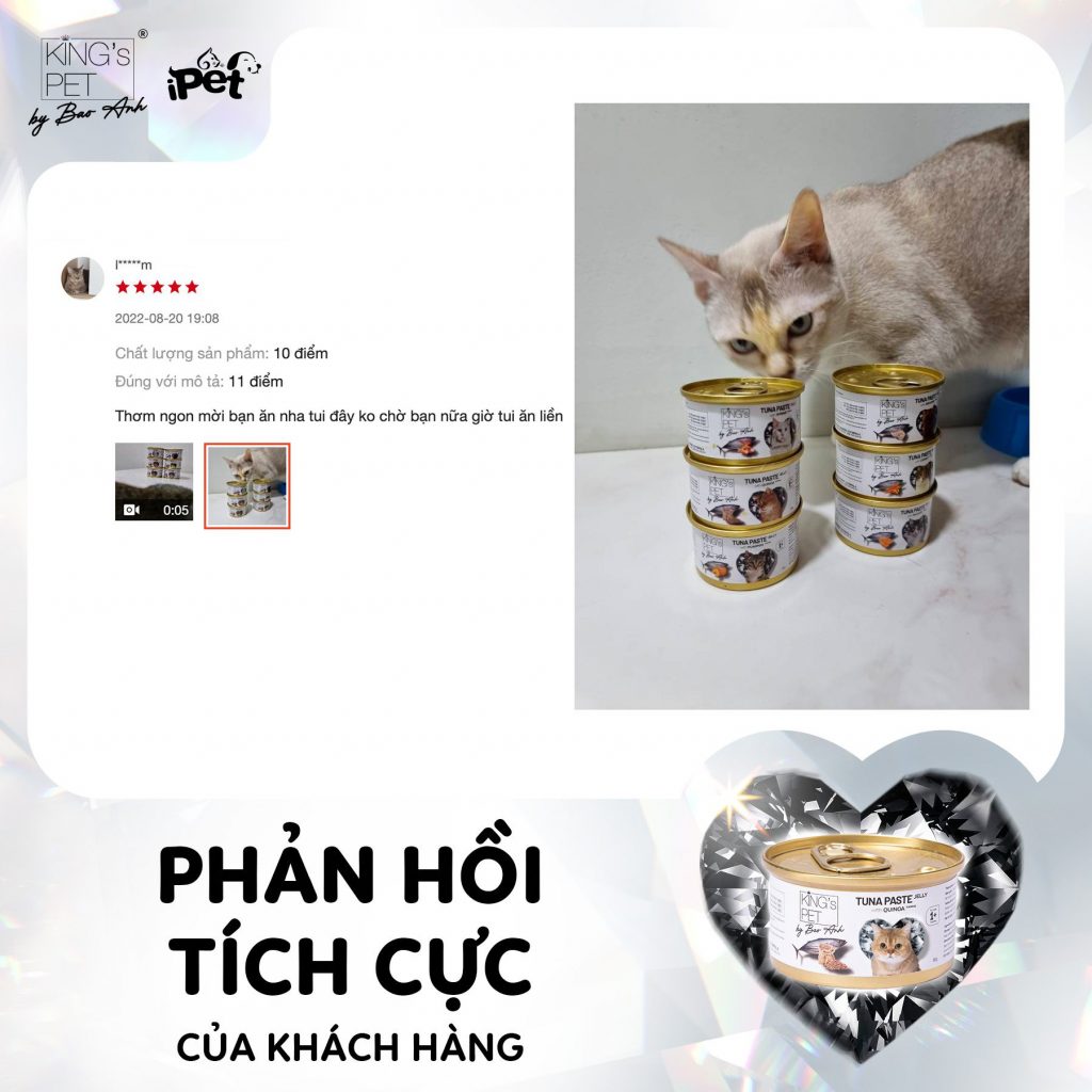 307519363 1619854291743534 4439966435454761599 n