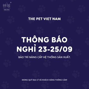 307693507 1619957918399838 574649589423587805 n