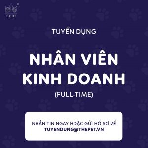 311308312 1634787343583562 9056356984237001571 n