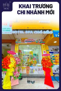 311348740 1644656115930018 3889621305289770964 n