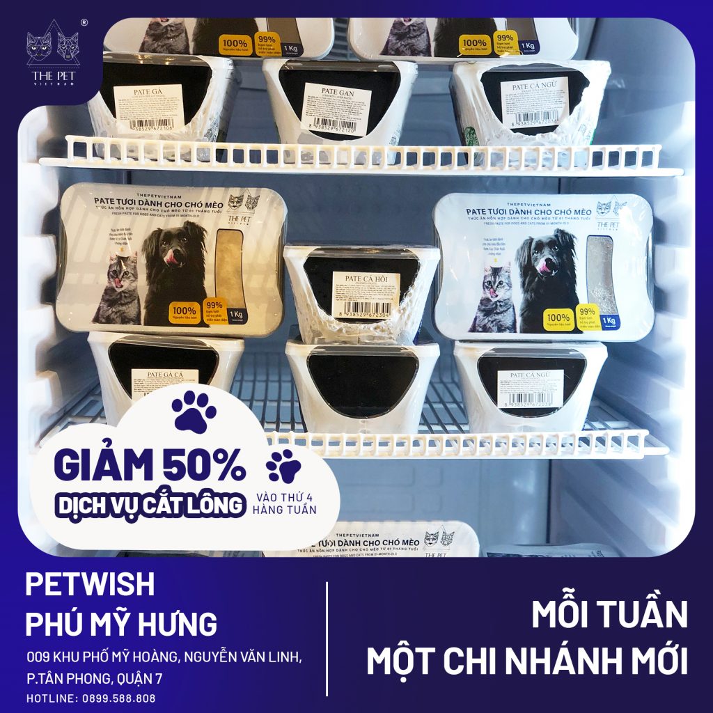 308194338 448917734037675 6507256606827514182 n