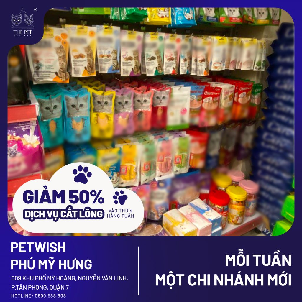 309898072 679442937112061 8016387204278113283 n