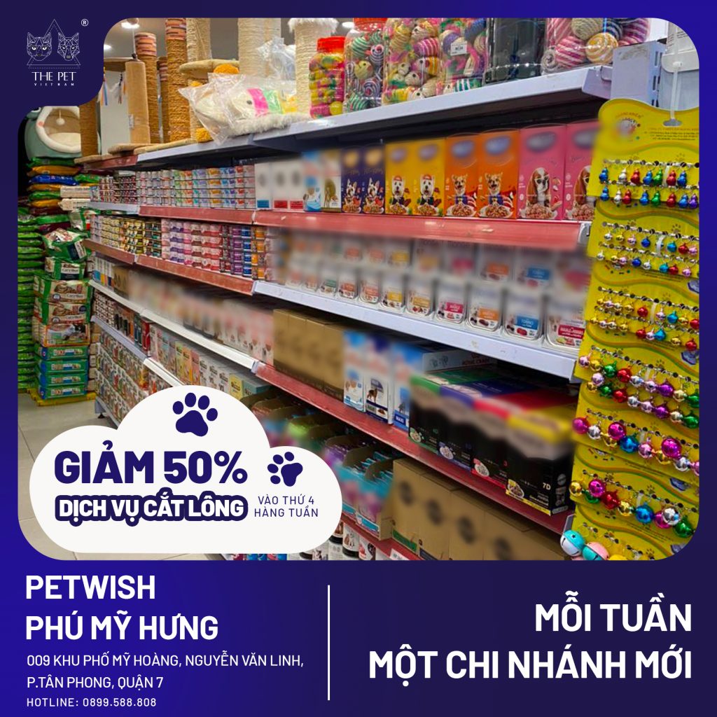 310073467 678360383722811 2515849119355800982 n