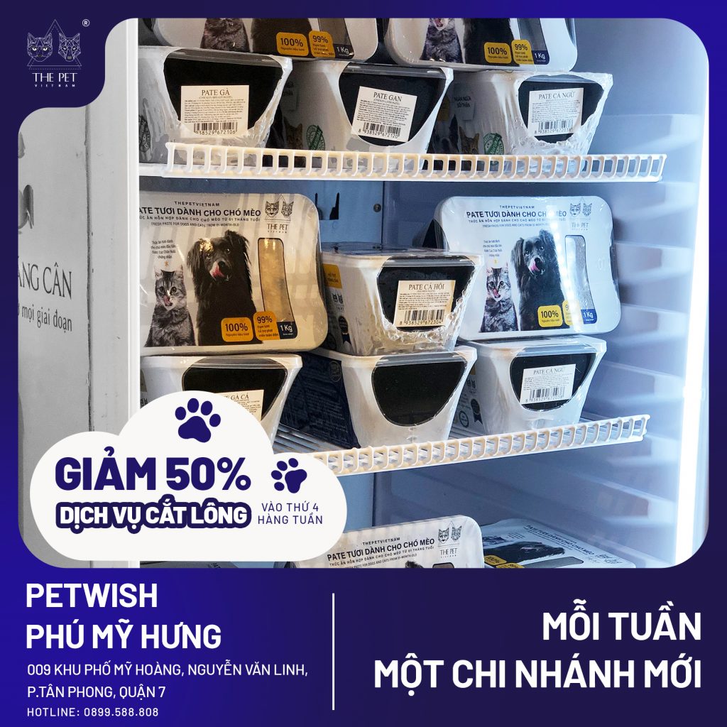 310973340 656335756029708 7149148056344414148 n