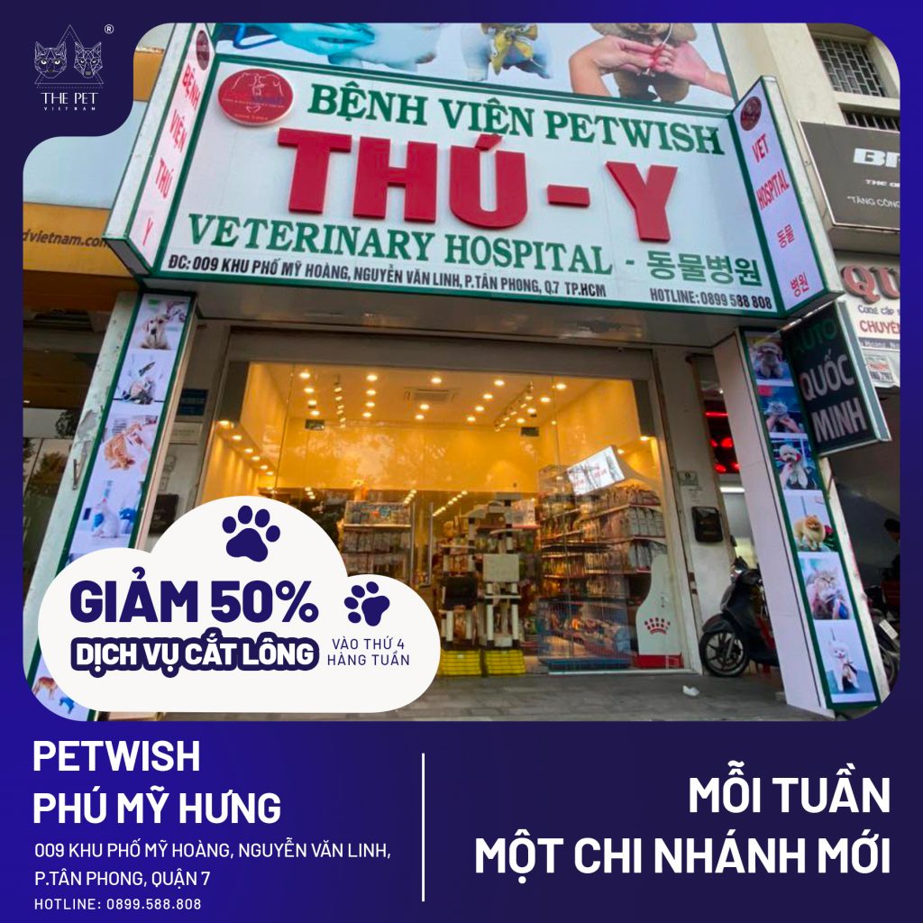 311238764 639992740998682 3170474090703078090 n