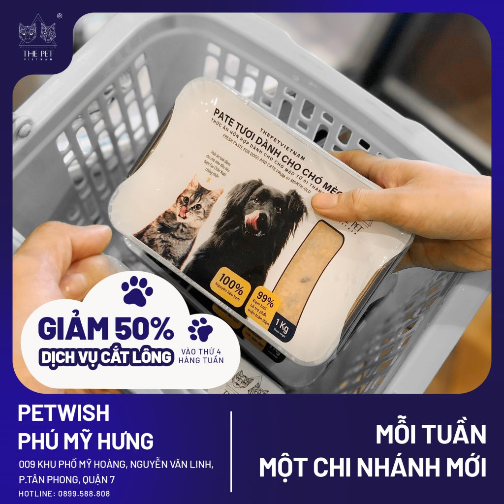 311459241 581242167101817 1429847110656745175 n