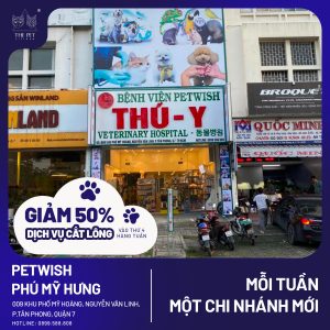 311506112 1509689979458977 4663714481288238816 n