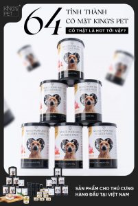 312009867 1652362948492668 3119042794096010419 n 1