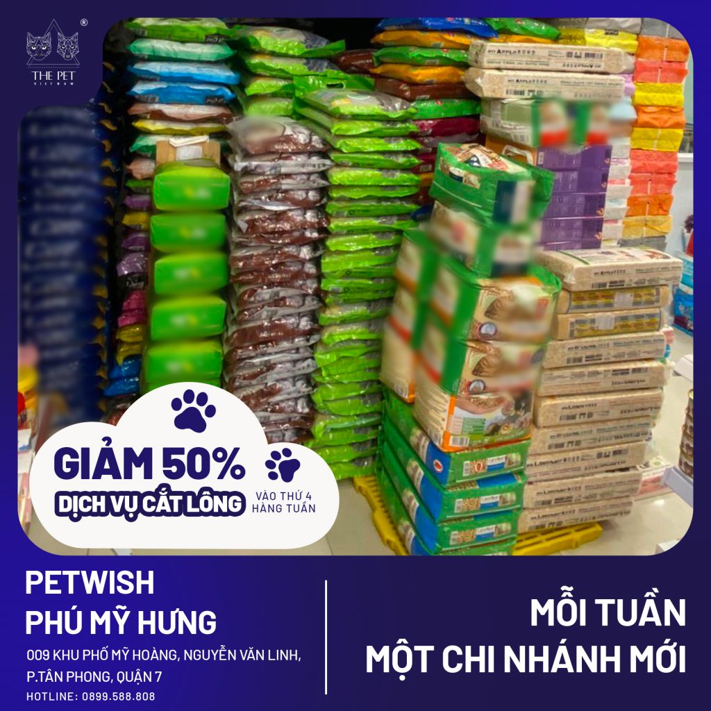 312457639 646449547188998 5519893565107575778 n