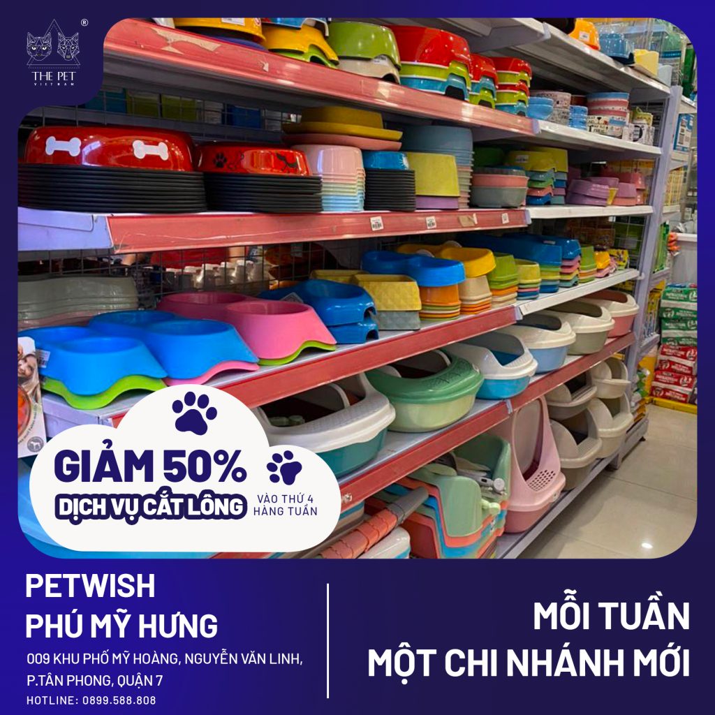 313531061 2750851285047759 8029066604381961032 n