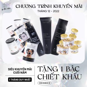 317441188 2678977985567943 8997852413356077962 n