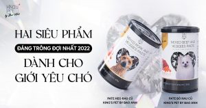 Tại sao nên lựa chọn pate Bảo Anh cho chó bầu?