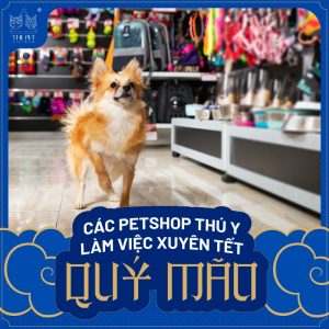 Danh sách cách chi nhánh làm việc xuyên Tết 