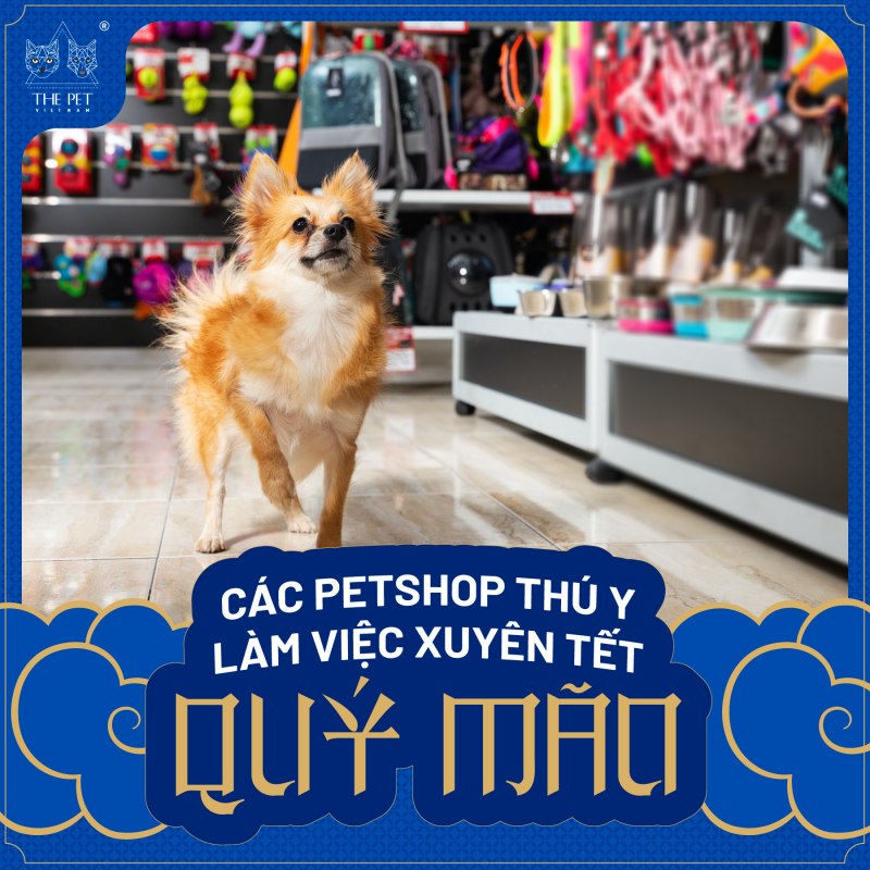 Danh sách các chi nhánh làm việc xuyên Tết Nguyên Đán 2023 1 Danh sách cách chi nhánh làm việc xuyên Tết