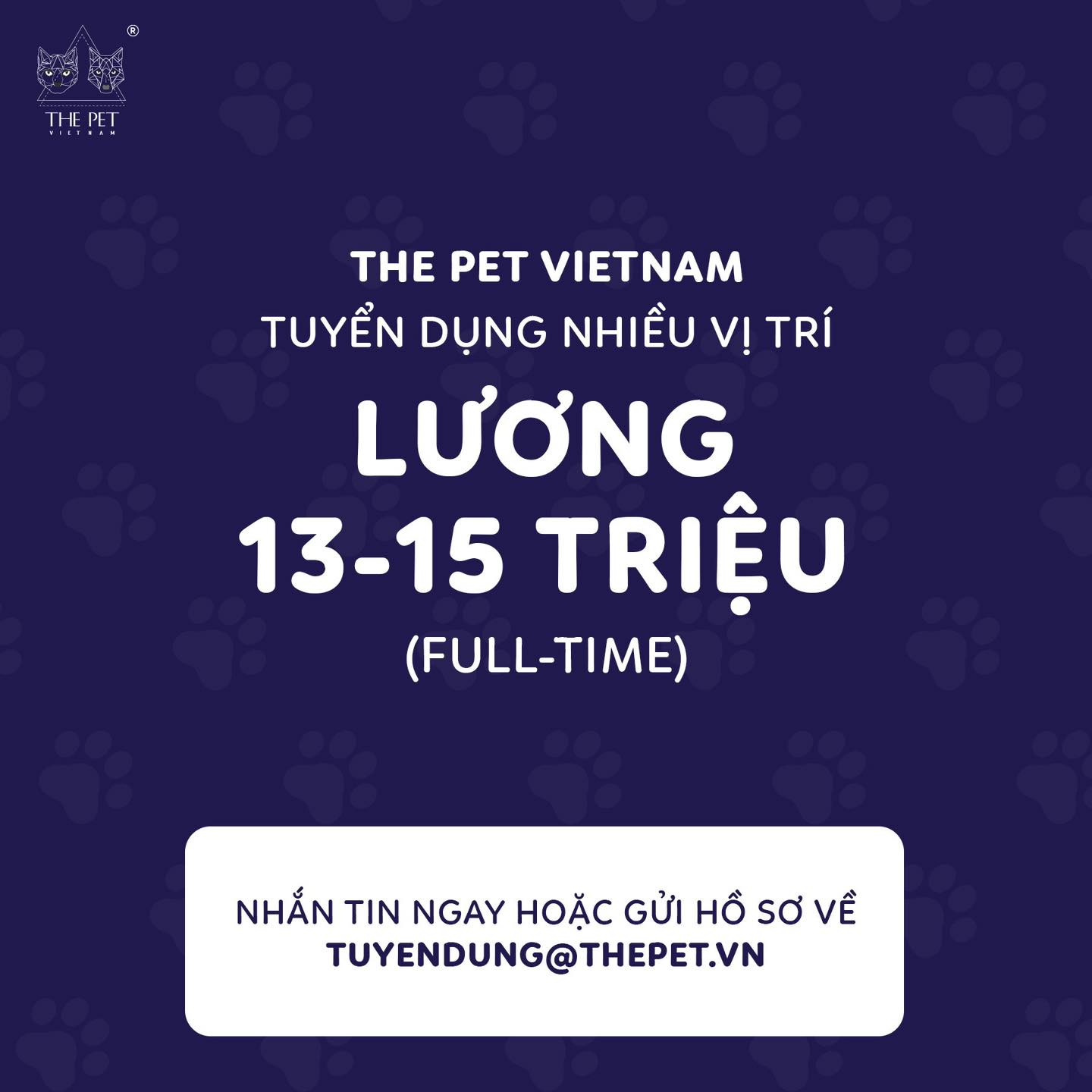 THE PET VIETNAM TUYỂN DỤNG KẾ TOÁN TỔNG HỢP