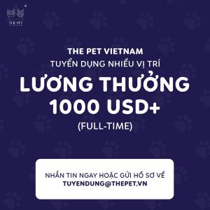 328107166 591669005626023 8195862861205237476 n