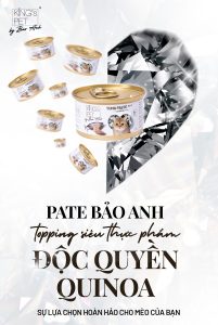 335083050 119600864283842 5045489332390834255 n